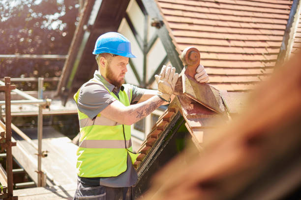 Best Roof Gutter Cleaning  in Lowry Crossing, TX